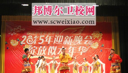 四川护理职业学院2015年学生迎新晚会圆满举行