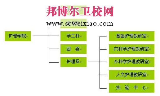 井冈山大学护理学院机构设置