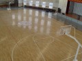 通化市卫生学校室内篮球场