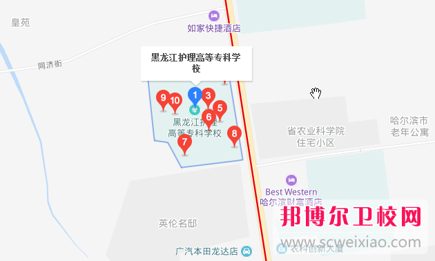 黑龙江护理高等专科学校地址在哪里