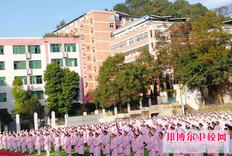 重庆的卫校2020年报名电话