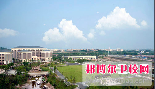 重庆2022年哪些大学有卫校大专