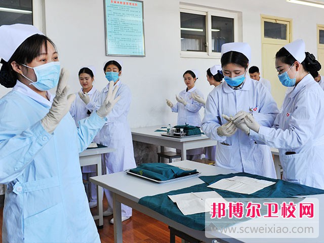 上海健康职业技术学院是几专