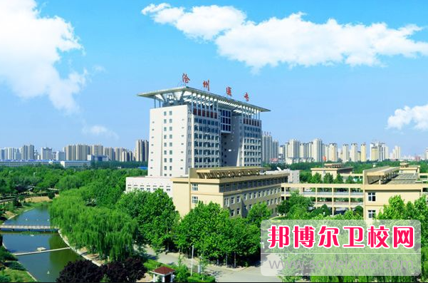 沧州医学高等专科学校2022年招生代码