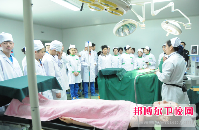 河南医学高等专科学校2022年排名