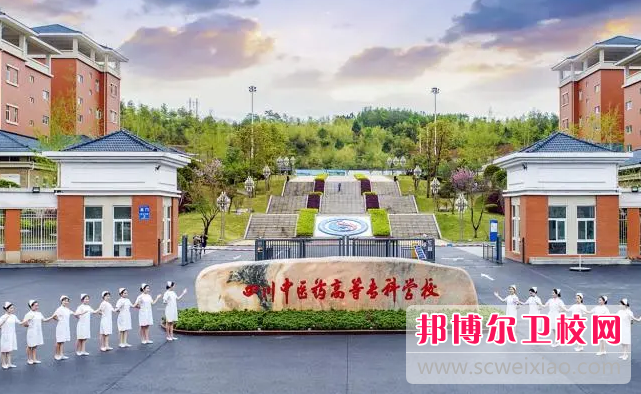 2023年四川省的大专有哪些卫校