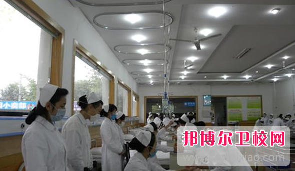 2023年四川省有哪些公办的卫校