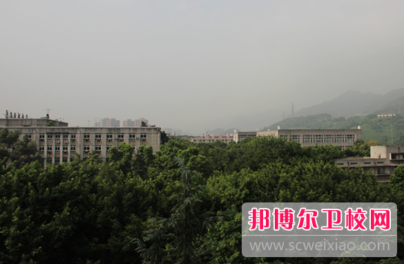 2023年重庆公立卫校有哪些