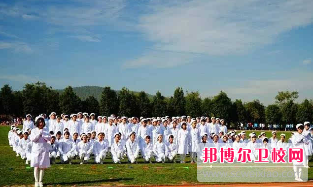 2023年云南经济管理学院康复护理学院药学专业介绍