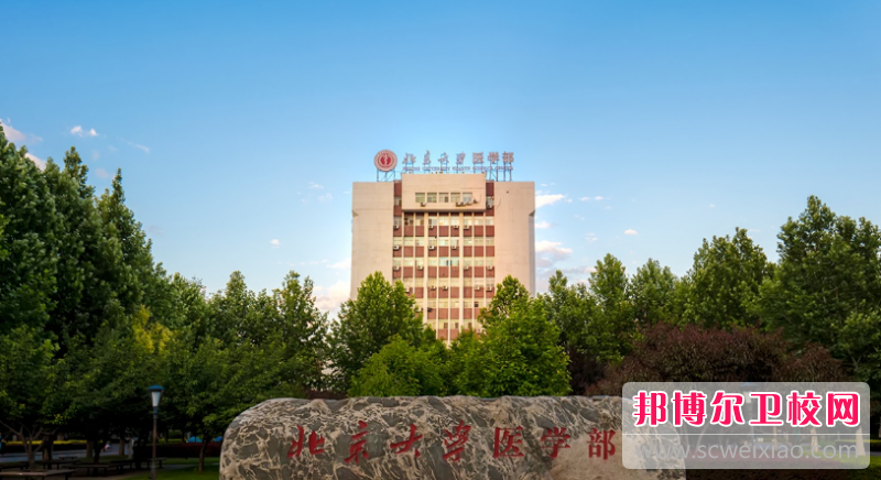 北京大学医学部的护理学专业招生如何(2023参考)