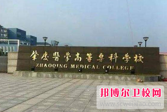 2023肇庆公办卫生学校有哪些 肇庆公办卫生学校名单一览表
