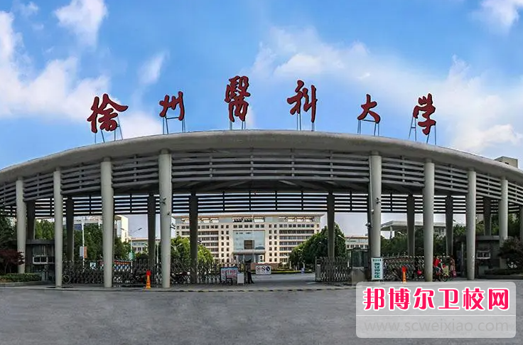 2023徐州医科大学有哪些专业 徐州医科大学开设的专业一览表