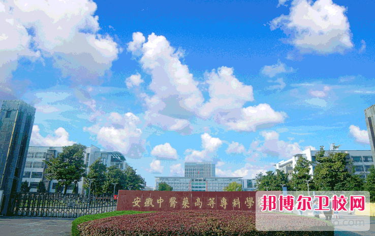 2023芜湖公办护理专业学校有哪些 芜湖公办护理专业学校名单一览表