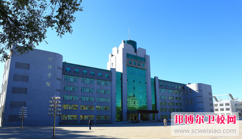 2023哈尔滨公办口腔医学学校有哪些 哈尔滨公办口腔医学学校名单一览表
