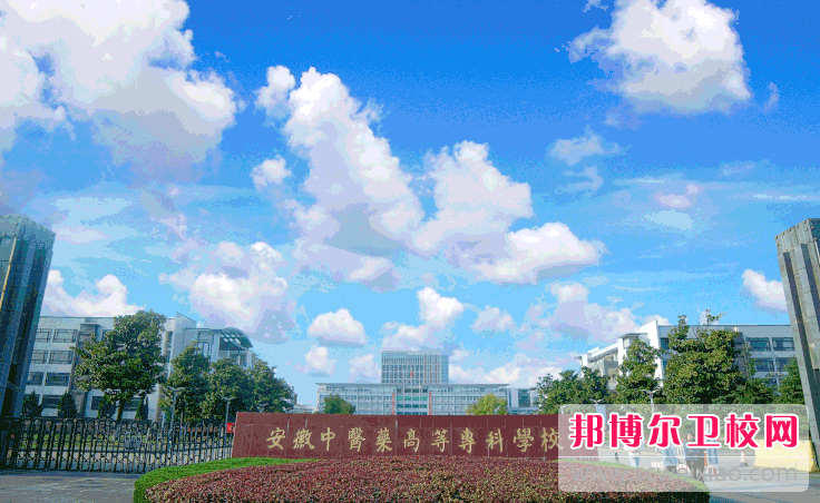 2023芜湖公办康复治疗学校有哪些 芜湖公办康复治疗学校名单一览表
