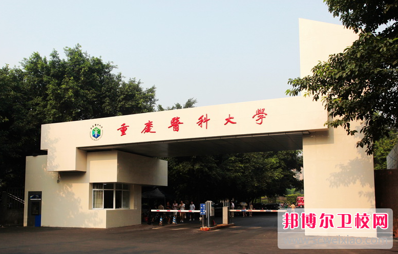 重庆2023年设有护理学校的公办大专学校