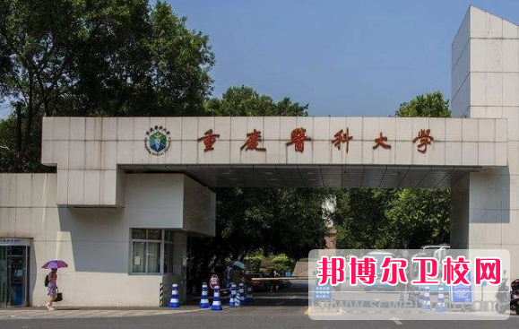 2023年重庆比较好的护理学校大专院校