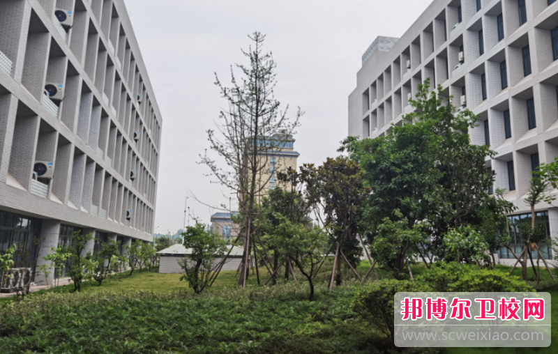 四川2023年大专学校有哪些有护理学校