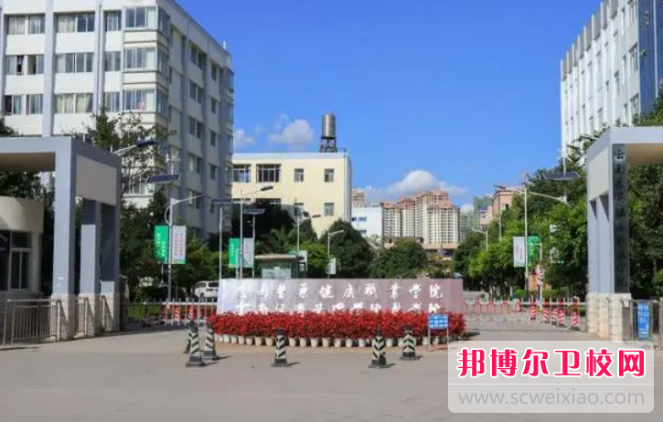 云南2023年比较好的护理学校大专院校