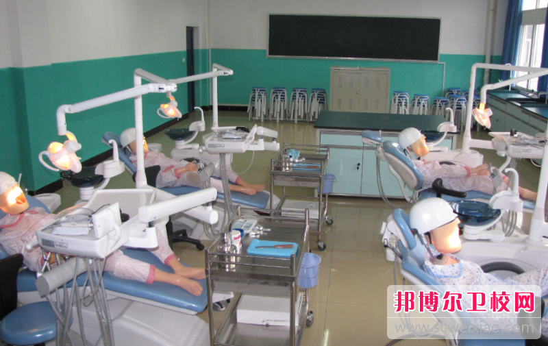 云南2023年护理学校一般有哪些专业