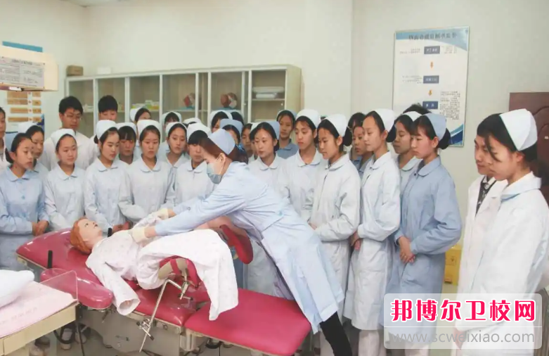 云南2023年护理学校什么专业比较好