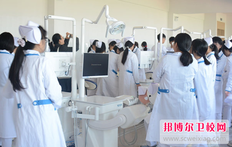 江苏2024年护理学校有哪些专业适合女生
