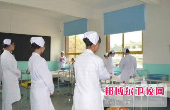 江苏2024年哪个护理学校最好就业