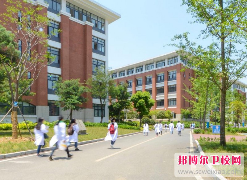陕西2024年有护理学校的大专大学