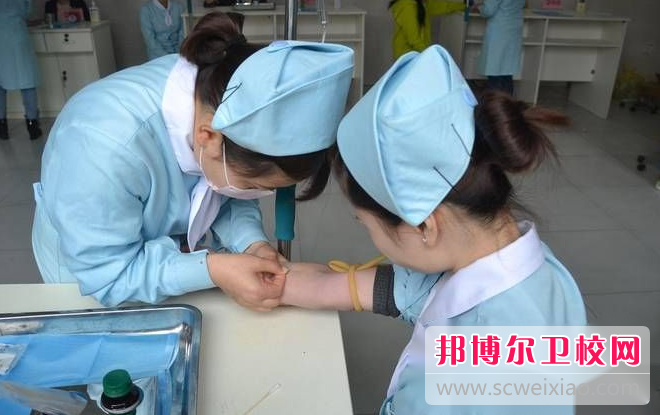陕西2024年护理学校是什么