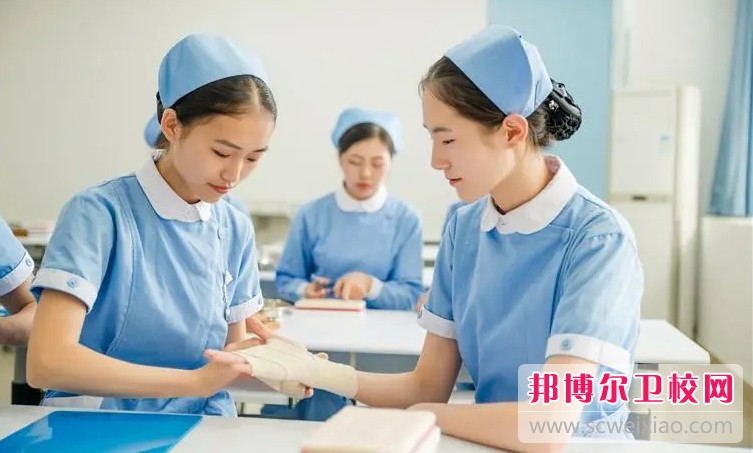 湖南2024年护理学校和幼师哪个好